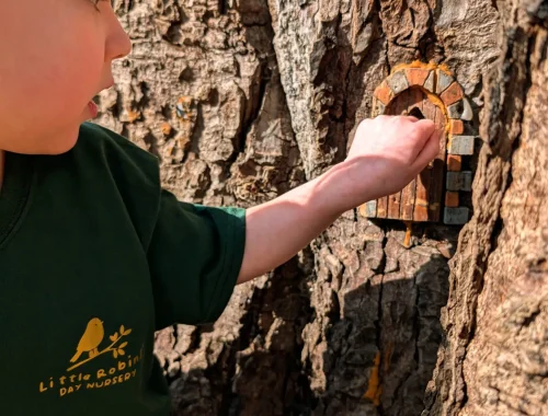 PXL_20250309_110650327~2