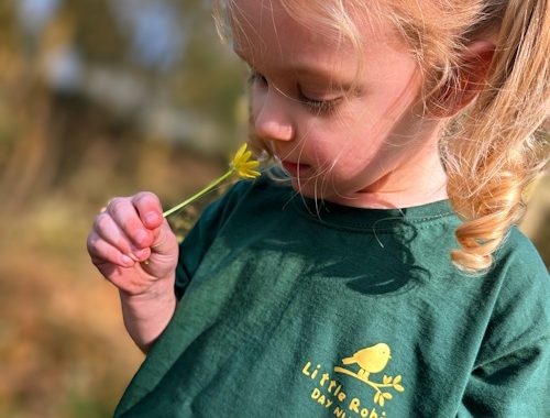 PXL_20250309_111732128~2