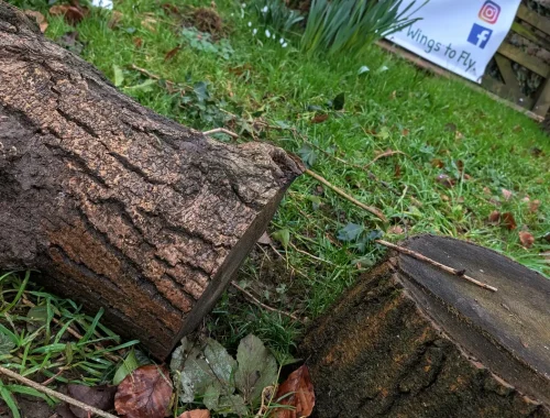 PXL_20260204_143325645~2